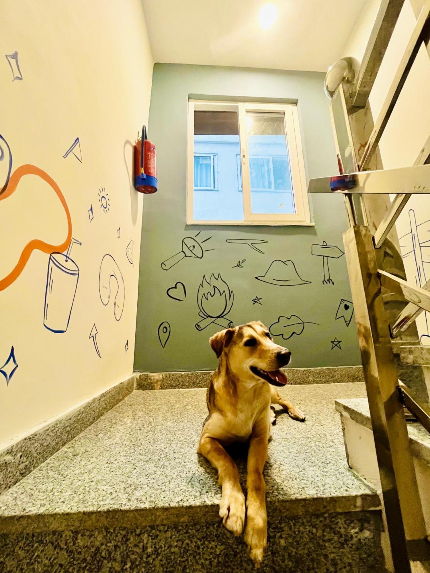 Bonfire Hostels Rishīkesh Екстериор снимка